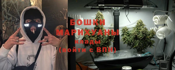 гашиш Богданович