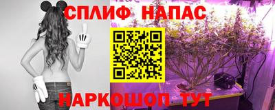 гидра Аша