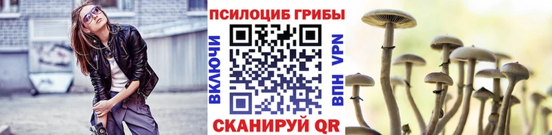 где продают наркотики  Великий Устюг  Псилоцибиновые грибы Psilocybine cubensis 