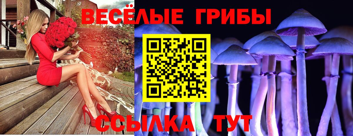 Псилоцибиновые грибы Magic Shrooms  Вход с VPN  где купить наркотик  Галлюциногенные грибы ЛСД  Великий Устюг 
