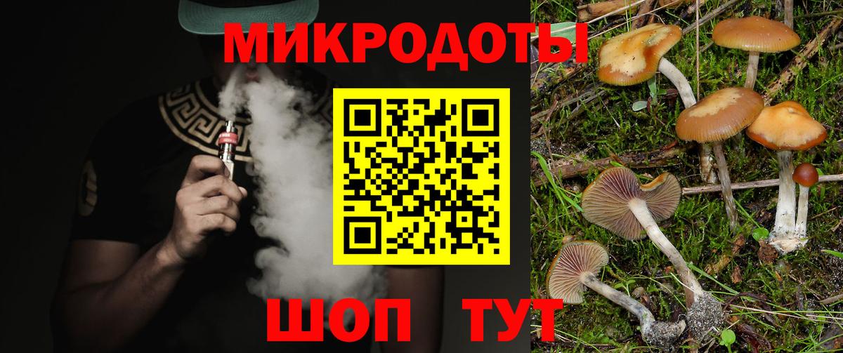 Псилоцибиновые грибы прущие грибы Великий Устюг